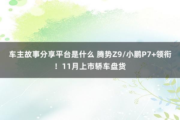 车主故事分享平台是什么 腾势Z9/小鹏P7+领衔！11月上市轿车盘货