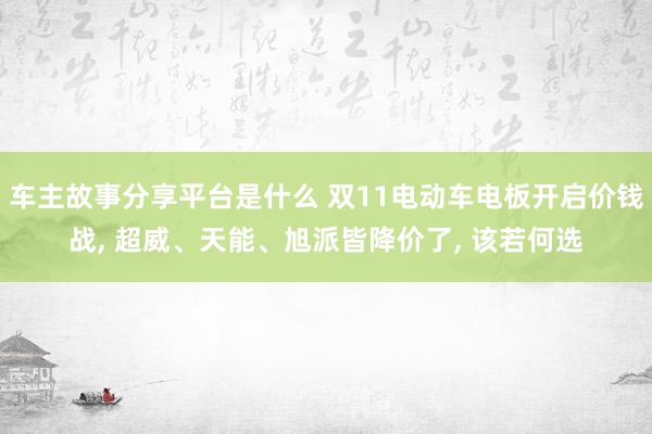 车主故事分享平台是什么 双11电动车电板开启价钱战, 超威、天能、旭派皆降价了, 该若何选