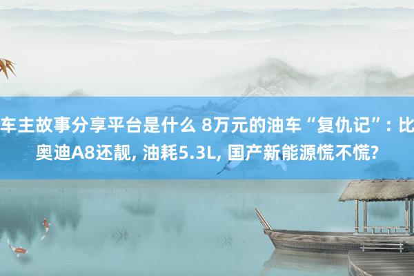 车主故事分享平台是什么 8万元的油车“复仇记”: 比奥迪A8还靓, 油耗5.3L, 国产新能源慌不慌?