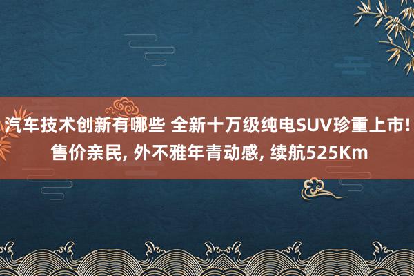 汽车技术创新有哪些 全新十万级纯电SUV珍重上市! 售价亲民, 外不雅年青动感, 续航525Km