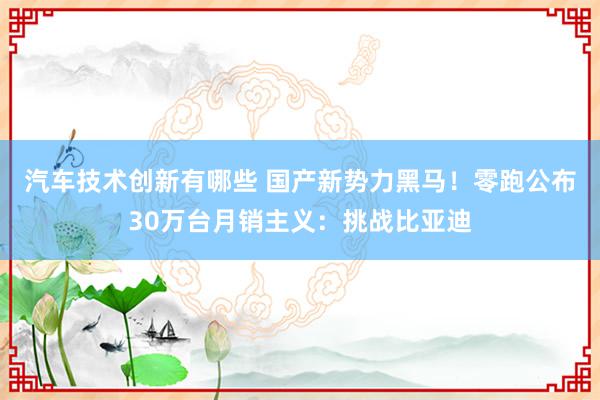 汽车技术创新有哪些 国产新势力黑马！零跑公布30万台月销主义：挑战比亚迪