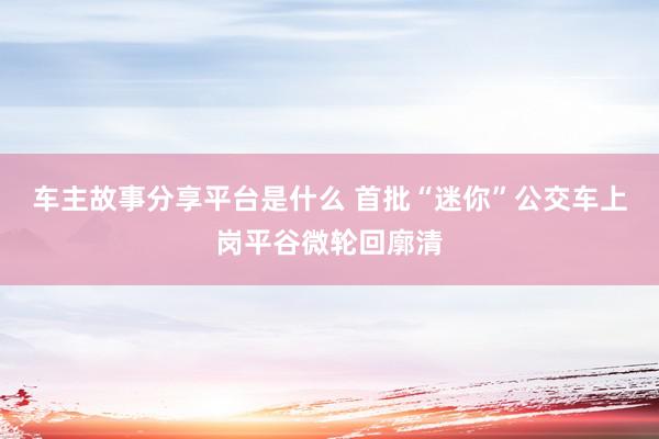 车主故事分享平台是什么 首批“迷你”公交车上岗平谷微轮回廓清