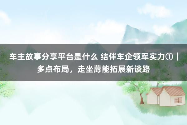 车主故事分享平台是什么 结伴车企领军实力①｜多点布局，走坐蓐能拓展新谈路