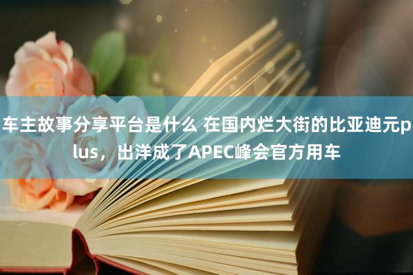 车主故事分享平台是什么 在国内烂大街的比亚迪元plus，出洋成了APEC峰会官方用车