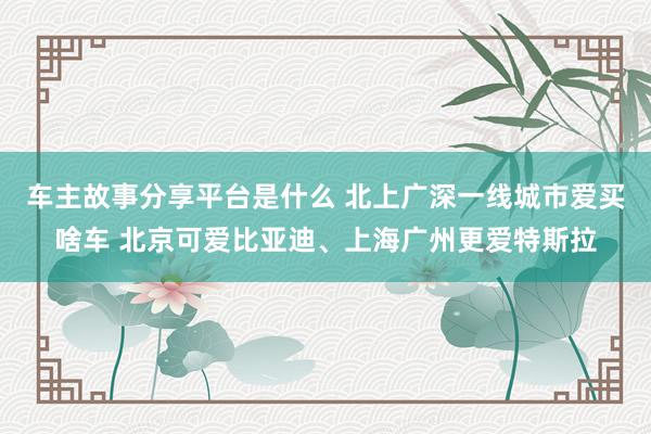 车主故事分享平台是什么 北上广深一线城市爱买啥车 北京可爱比亚迪、上海广州更爱特斯拉