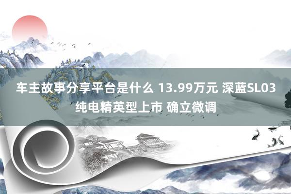 车主故事分享平台是什么 13.99万元 深蓝SL03纯电精英型上市 确立微调