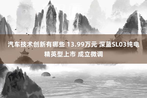 汽车技术创新有哪些 13.99万元 深蓝SL03纯电精英型上市 成立微调