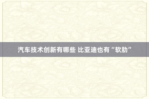 汽车技术创新有哪些 比亚迪也有“软肋”