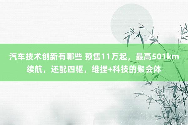 汽车技术创新有哪些 预售11万起，最高501km续航，还配四驱，维捏+科技的聚会体