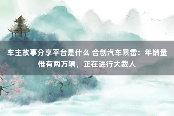 车主故事分享平台是什么 合创汽车暴雷：年销量惟有两万辆，正在进行大裁人