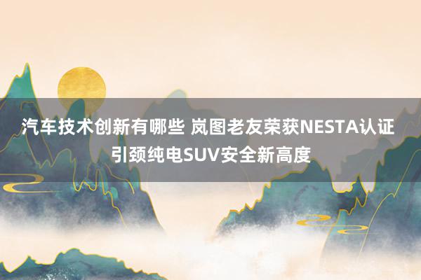 汽车技术创新有哪些 岚图老友荣获NESTA认证 引颈纯电SUV安全新高度