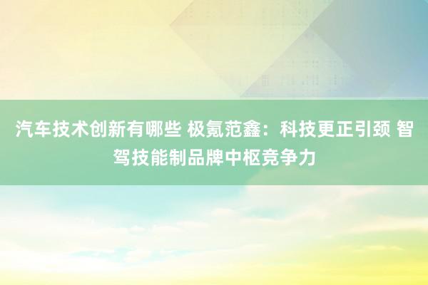 汽车技术创新有哪些 极氪范鑫：科技更正引颈 智驾技能制品牌中枢竞争力