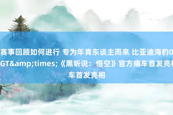 赛事回顾如何进行 专为年青东谈主而来 比亚迪海豹06GT&times;《黑听说：悟空》官方痛车首发亮相