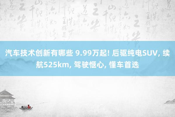 汽车技术创新有哪些 9.99万起! 后驱纯电SUV, 续航525km, 驾驶惬心, 懂车首选