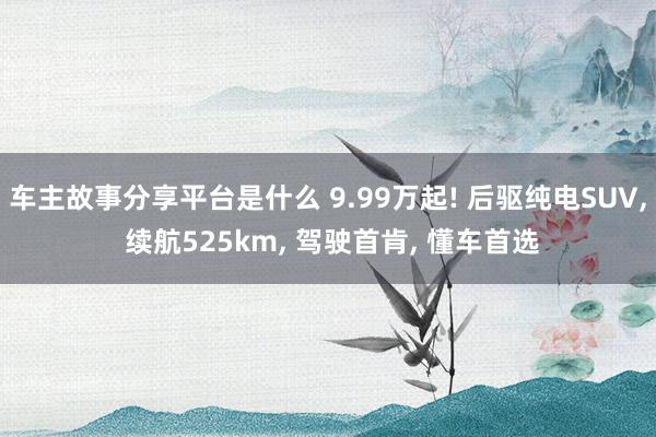 车主故事分享平台是什么 9.99万起! 后驱纯电SUV, 续航525km, 驾驶首肯, 懂车首选