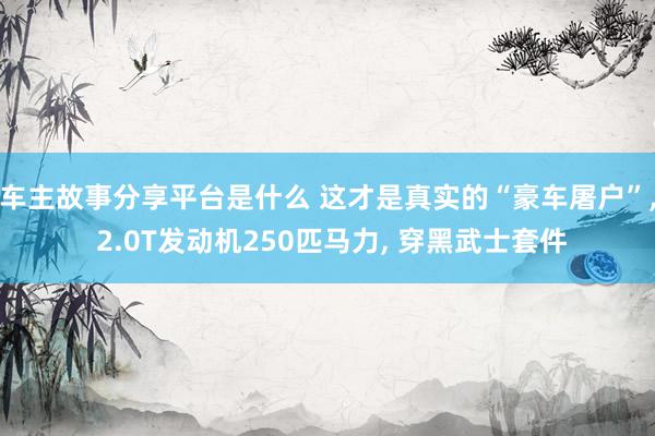 车主故事分享平台是什么 这才是真实的“豪车屠户”, 2.0T发动机250匹马力, 穿黑武士套件