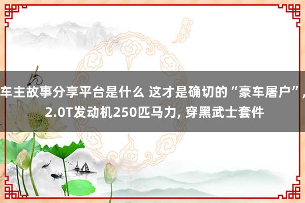 车主故事分享平台是什么 这才是确切的“豪车屠户”, 2.0T发动机250匹马力, 穿黑武士套件