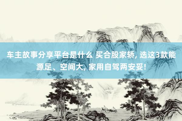 车主故事分享平台是什么 买合股家轿, 选这3款能源足、空间大, 家用自驾两安妥!