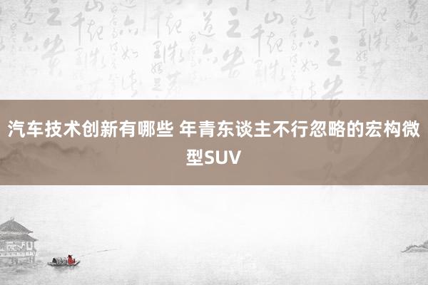 汽车技术创新有哪些 年青东谈主不行忽略的宏构微型SUV