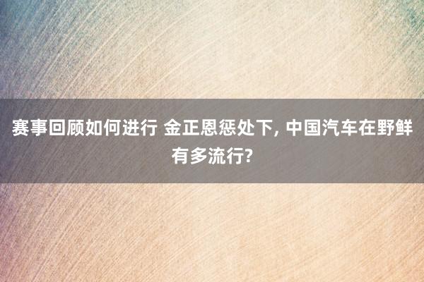 赛事回顾如何进行 金正恩惩处下, 中国汽车在野鲜有多流行?