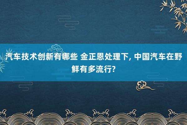 汽车技术创新有哪些 金正恩处理下, 中国汽车在野鲜有多流行?