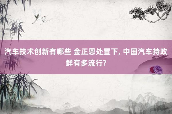 汽车技术创新有哪些 金正恩处置下, 中国汽车持政鲜有多流行?