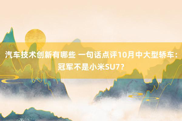 汽车技术创新有哪些 一句话点评10月中大型轿车：冠军不是小米SU7？