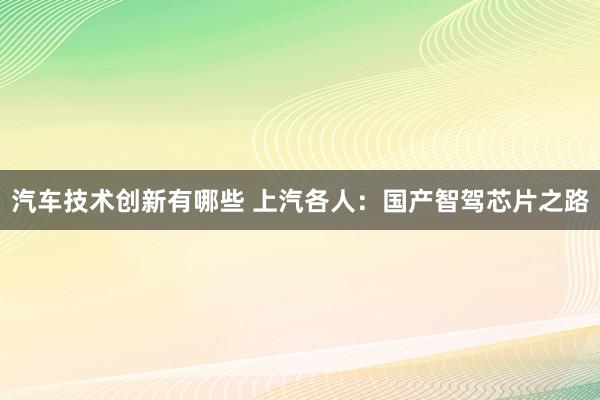 汽车技术创新有哪些 上汽各人：国产智驾芯片之路