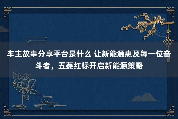 车主故事分享平台是什么 让新能源惠及每一位奋斗者，五菱红标开启新能源策略